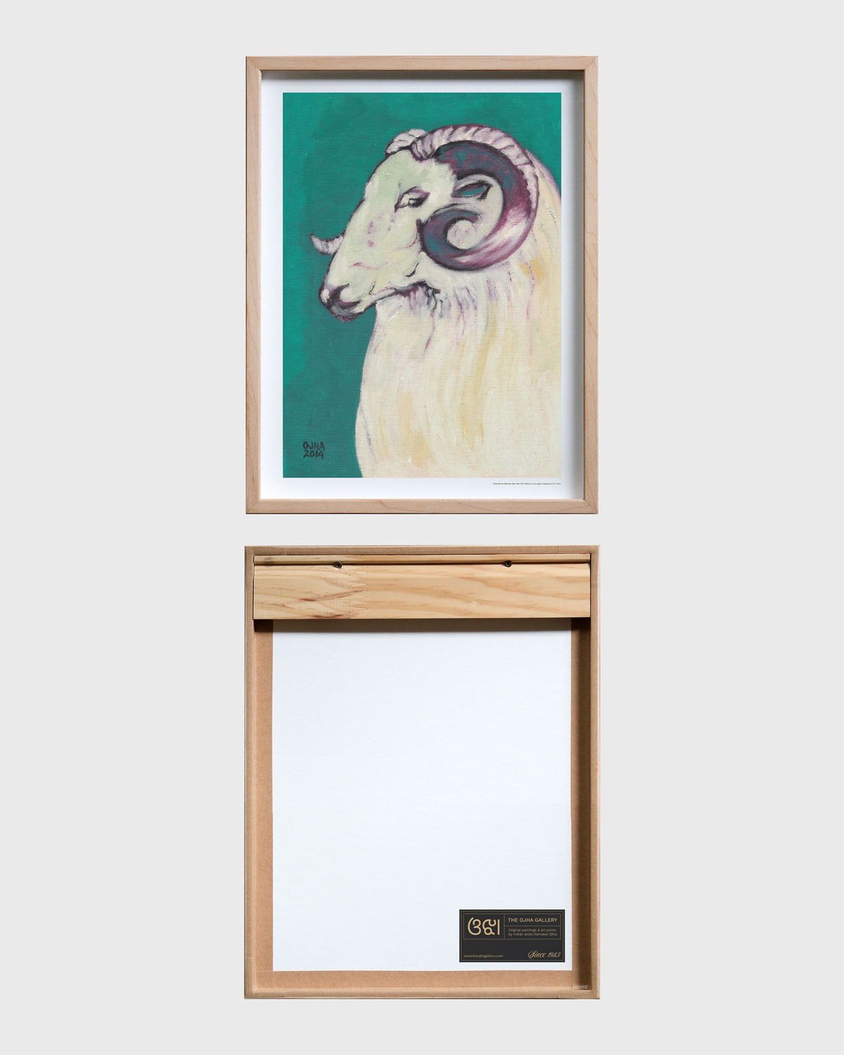 White Ram | Fine Art Print