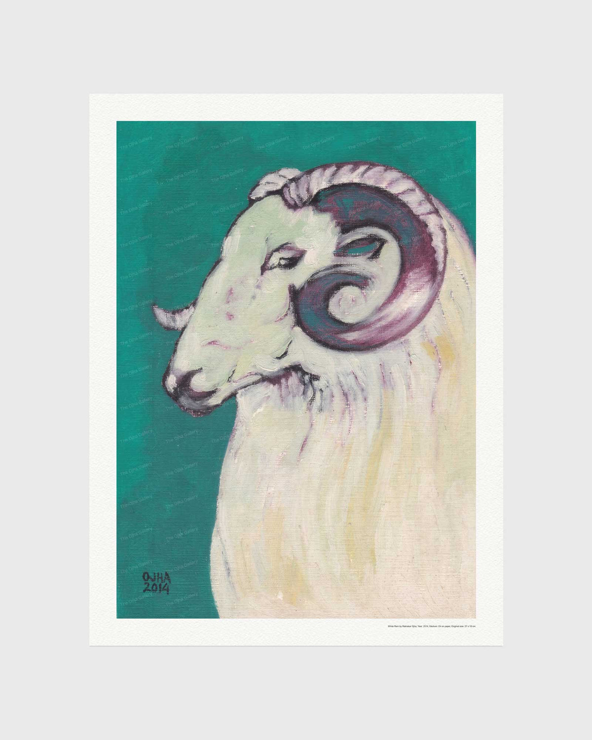 White Ram | Fine Art Print