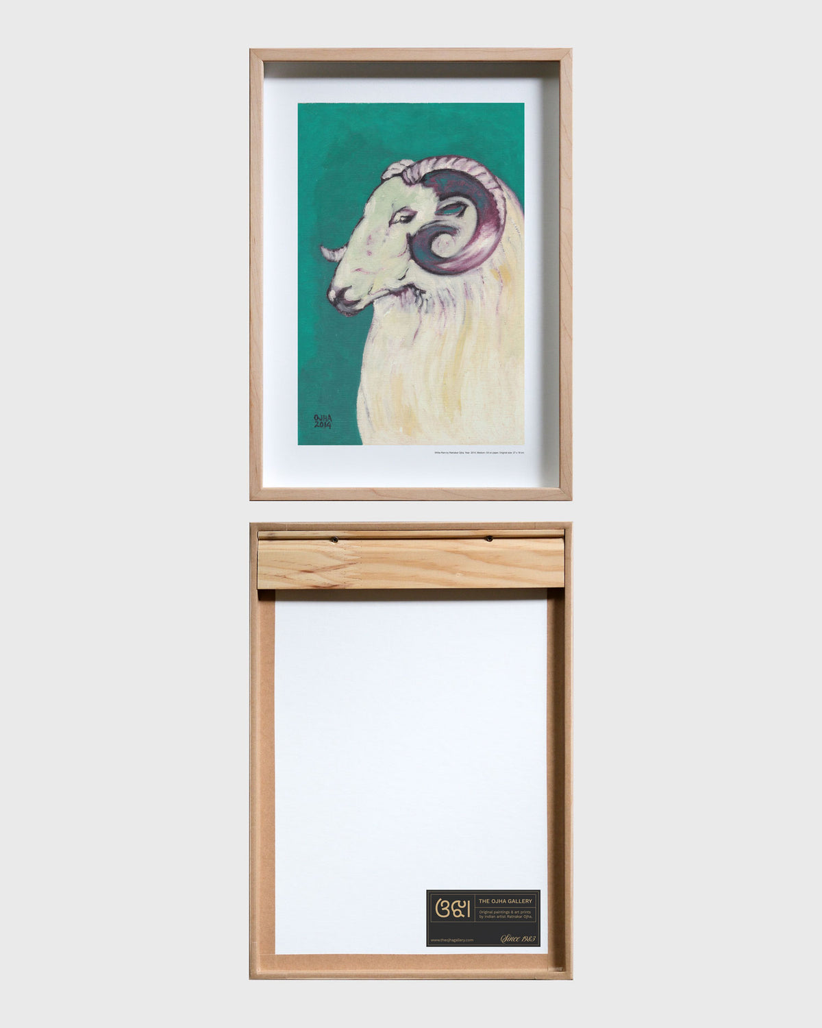 White Ram | Fine Art Print