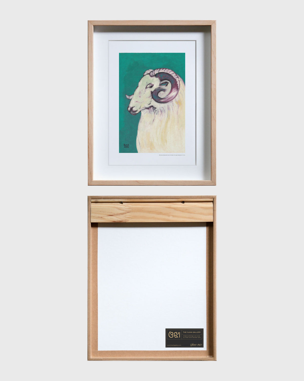 White Ram | Fine Art Print