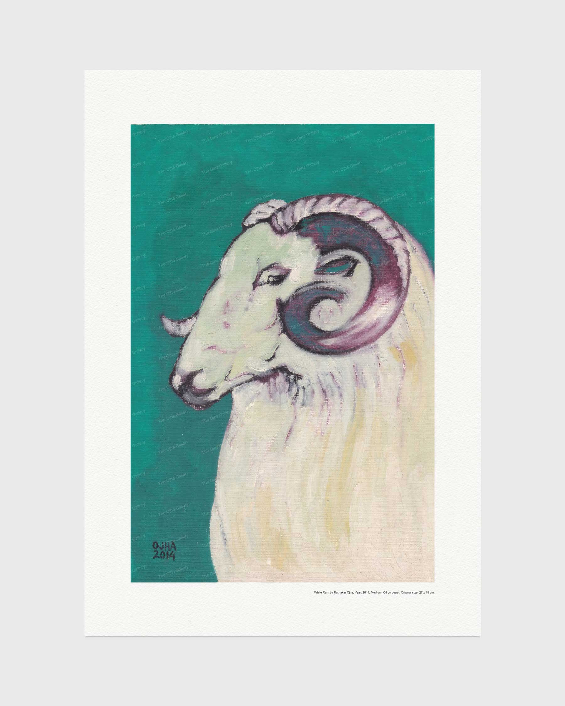 White Ram | Fine Art Print